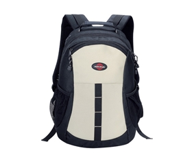 600D Polyester Backpack