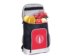 600D Polyester Cooler Backpack