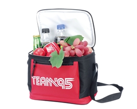 600D Polyester Cooler Bag